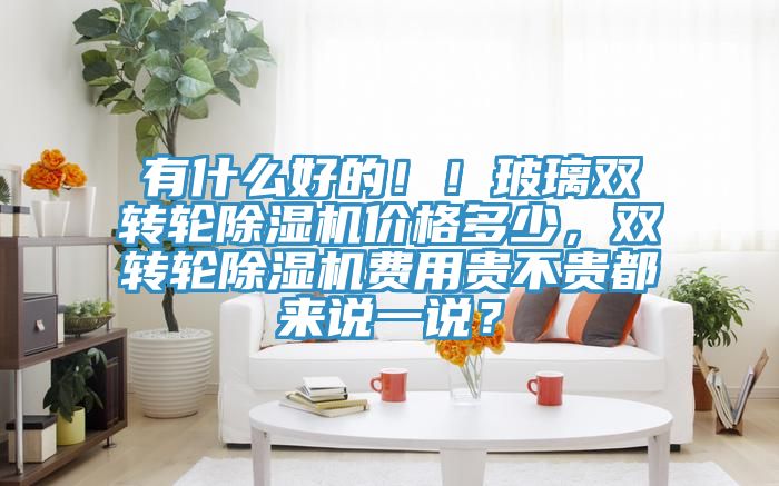 有什么好的！！玻璃雙轉(zhuǎn)輪除濕機(jī)價(jià)格多少，雙轉(zhuǎn)輪除濕機(jī)費(fèi)用貴不貴都來說一說？