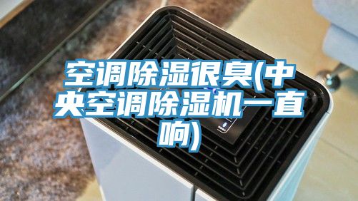 空調(diào)除濕很臭(中央空調(diào)除濕機一直響)