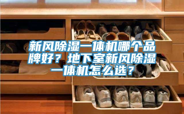 新風(fēng)除濕一體機哪個品牌好？地下室新風(fēng)除濕一體機怎么選？
