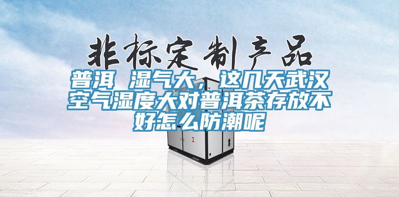 普洱 濕氣大，這幾天武漢空氣濕度大對普洱茶存放不好怎么防潮呢