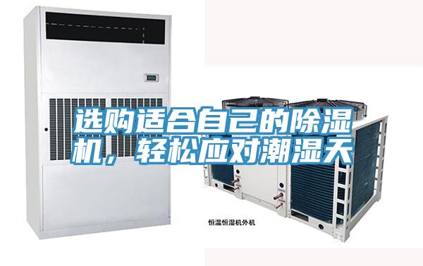 選購適合自己的除濕機(jī)，輕松應(yīng)對潮濕天