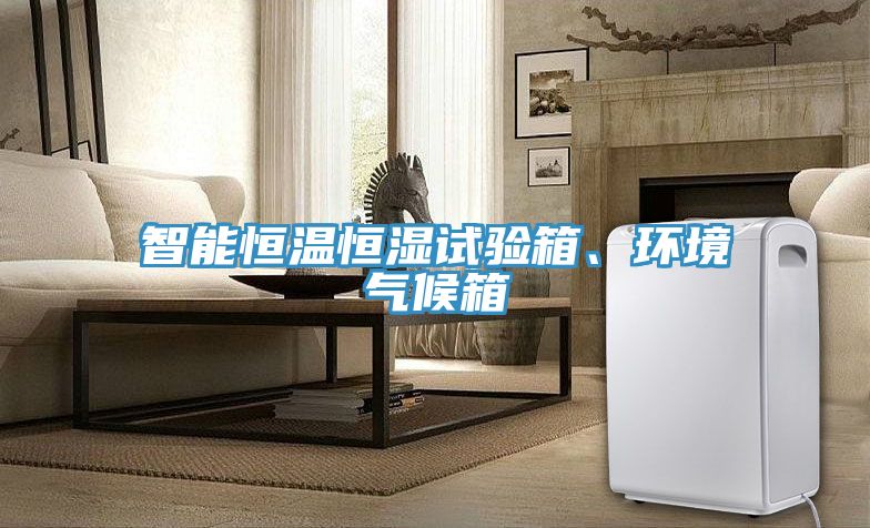 智能恒溫恒濕試驗箱、環境氣候箱