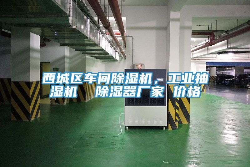 西城區(qū)車間除濕機，工業(yè)抽濕機  除濕器廠家 價格