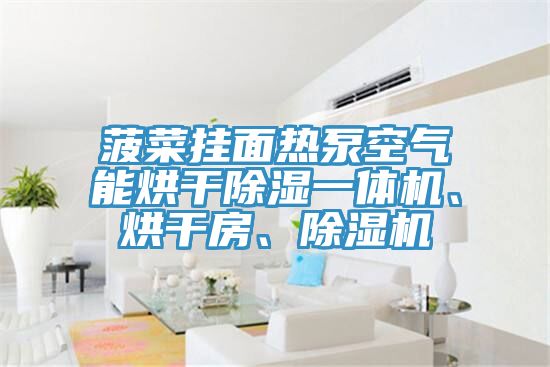 菠菜掛面熱泵空氣能烘干除濕一體機、烘干房、除濕機
