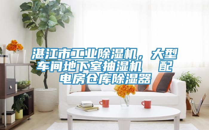 湛江市工業除濕機,大型車間地下室抽濕機 配電房倉庫除濕器