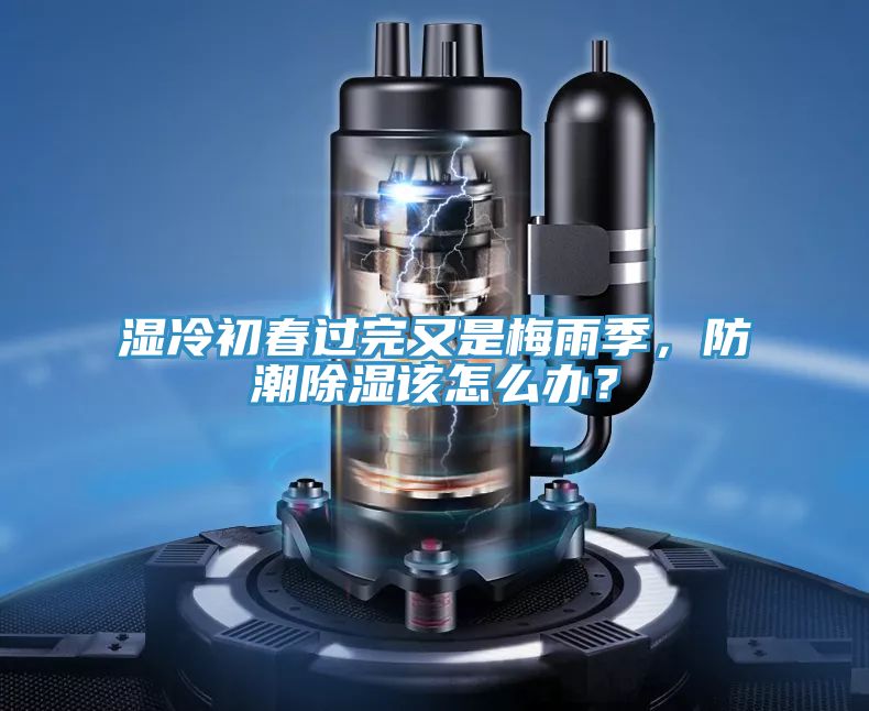 濕冷初春過完又是梅雨季,防潮除濕該怎么辦?