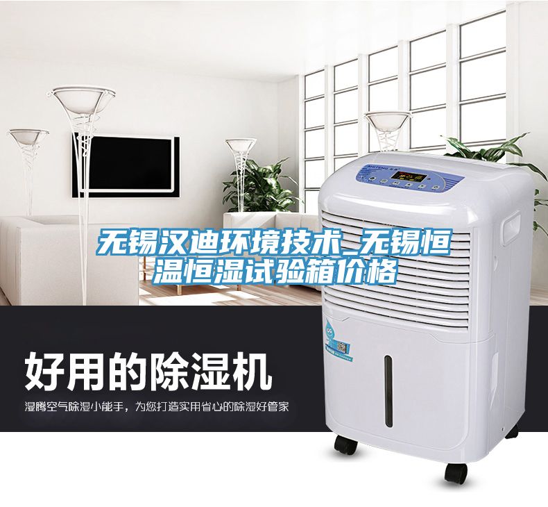 無錫漢迪環境技術_無錫恒溫恒濕試驗箱價格