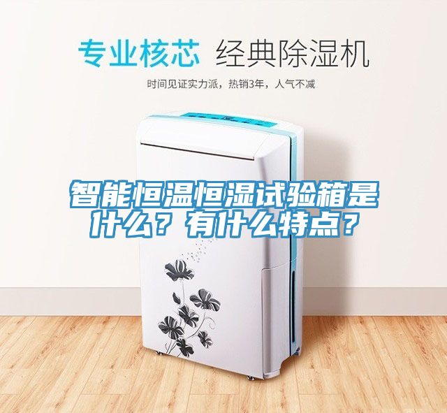 智能恒溫恒濕試驗箱是什么？有什么特點？