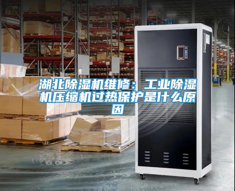 湖北除濕機維修:工業(yè)除濕機壓縮機過熱保護是什么原因