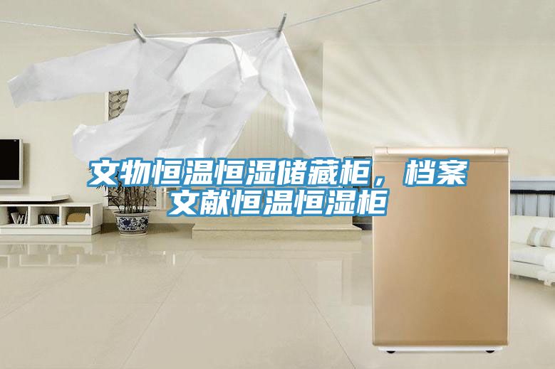 文物恒溫恒濕儲藏柜，檔案文獻恒溫恒濕柜
