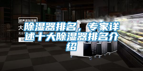 除濕器排名,專家詳述十大除濕器排名介紹