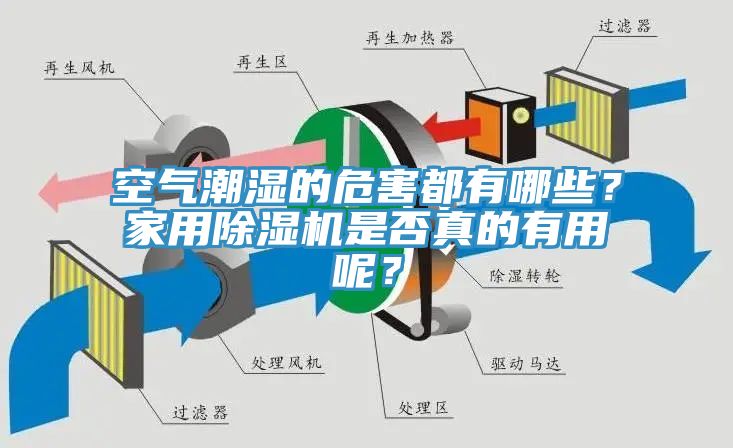 空氣潮濕的危害都有哪些？家用除濕機是否真的有用呢？