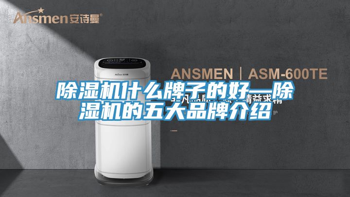 除濕機(jī)什么牌子的好—除濕機(jī)的五大品牌介紹