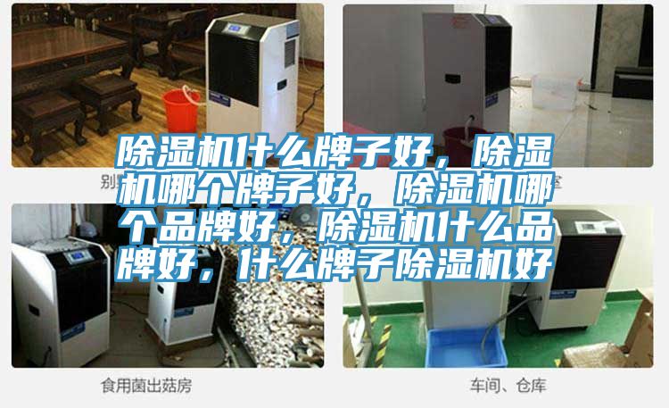 除濕機什么牌子好，除濕機哪個牌子好，除濕機哪個品牌好，除濕機什么品牌好，什么牌子除濕機好