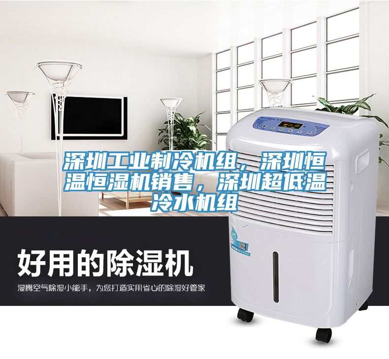 深圳工業(yè)制冷機(jī)組，深圳恒溫恒濕機(jī)銷售，深圳超低溫冷水機(jī)組