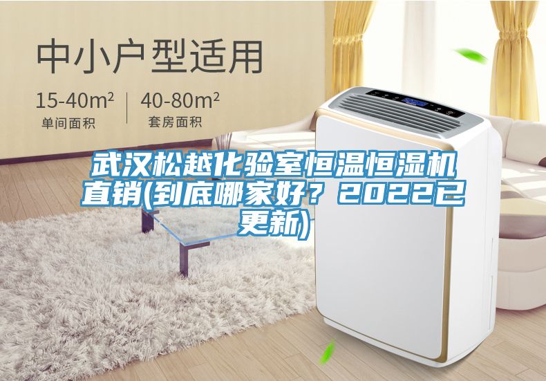 武漢松越化驗室恒溫恒濕機直銷(到底哪家好？2022已更新)