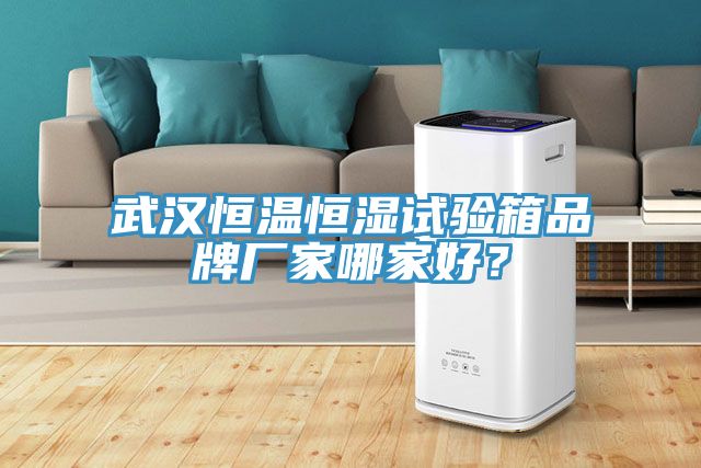 武漢恒溫恒濕試驗箱品牌廠家哪家好？