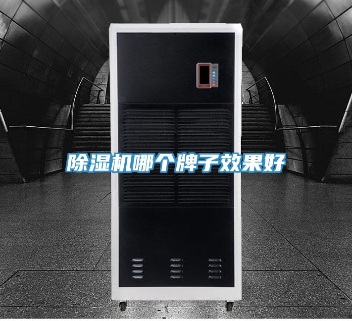 除濕機(jī)哪個(gè)牌子效果好