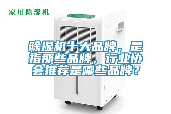 除濕機十大品牌，是指那些品牌，行業(yè)協(xié)會推薦是哪些品牌？