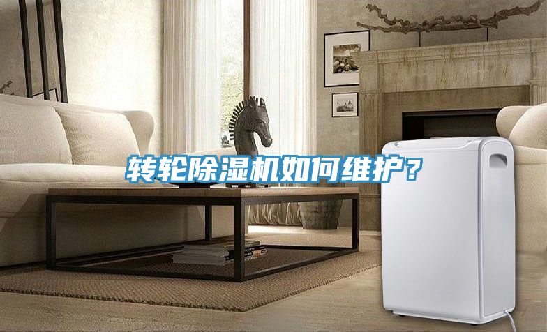 轉(zhuǎn)輪除濕機如何維護？