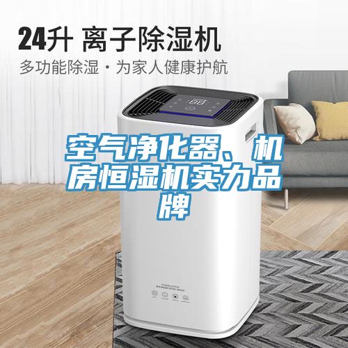 空氣凈化器、機房恒濕機實力品牌