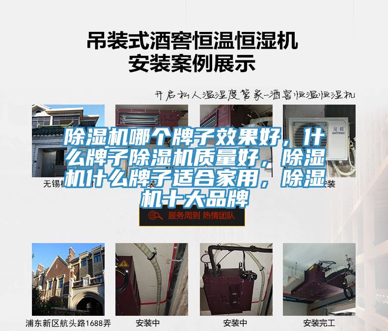 除濕機(jī)哪個(gè)牌子效果好，什么牌子除濕機(jī)質(zhì)量好，除濕機(jī)什么牌子適合家用，除濕機(jī)十大品牌