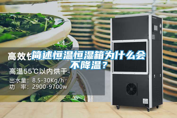 簡(jiǎn)述恒溫恒濕箱為什么會(huì)不降溫？