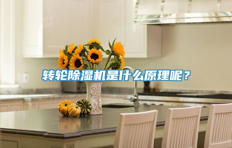 轉輪除濕機是什么原理呢？