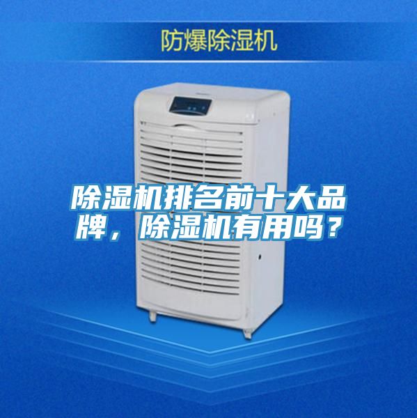 除濕機排名前十大品牌，除濕機有用嗎？