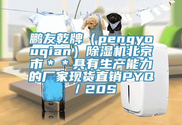 鵬友乾牌(pengyouqian)除濕機北京市**具有生產能力的廠家現貨直銷PYQ/20S