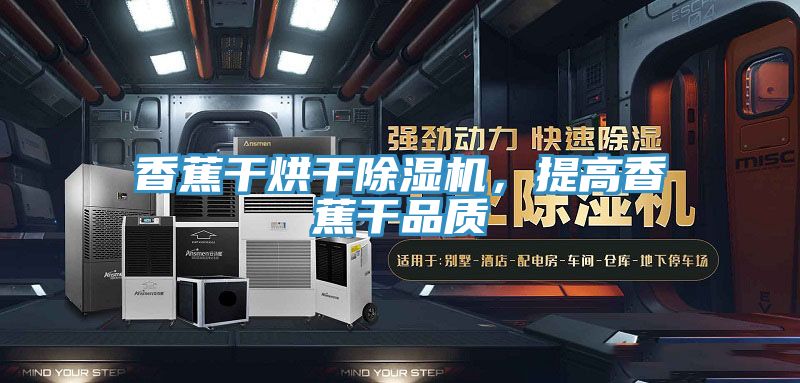 香蕉干烘干除濕機(jī),提高香蕉干品質(zhì)