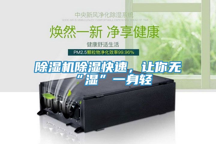 除濕機除濕快速，讓你無“濕”一身輕