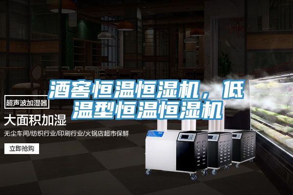 酒窖恒溫恒濕機(jī),低溫型恒溫恒濕機(jī)