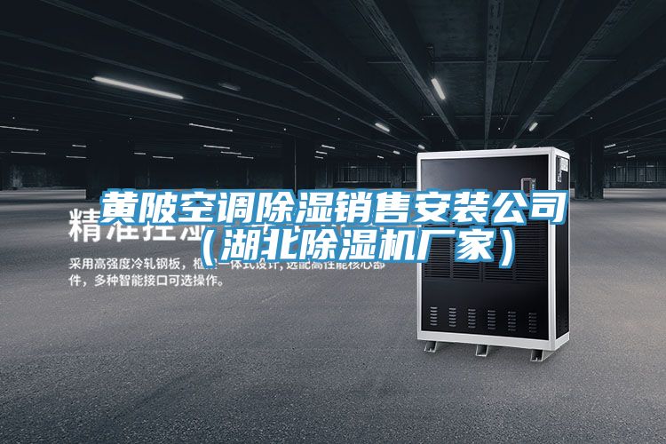 黃陂空調(diào)除濕銷售安裝公司(湖北除濕機(jī)廠家)