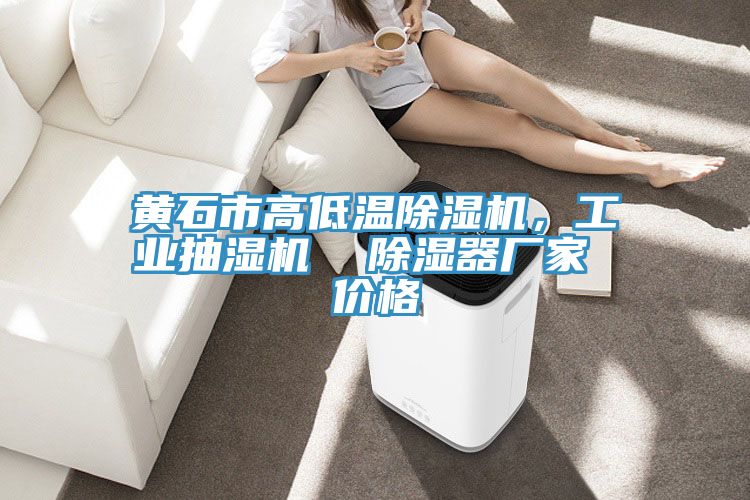 黃石市高低溫除濕機(jī),工業(yè)抽濕機(jī) 除濕器廠家 價(jià)格