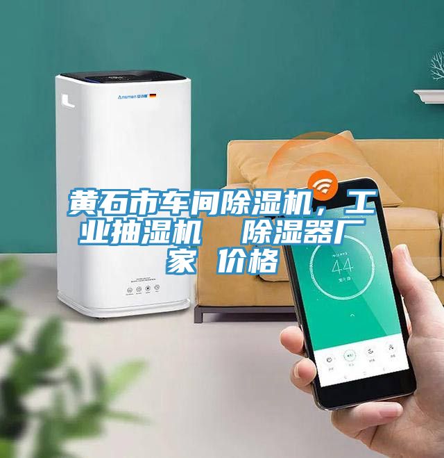黃石市車間除濕機(jī),工業(yè)抽濕機(jī) 除濕器廠家 價(jià)格