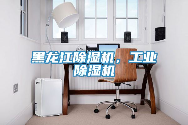 黑龍江除濕機,工業除濕機